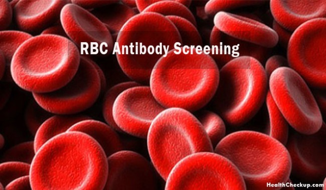 rbc-antibody-screen-blood-test-use-procedure-results-helathcheckup