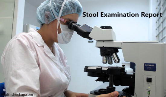 General Stool Examination Procedure