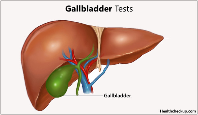 test-for-gallbladder-function-gallstones-gallbladder-cancer