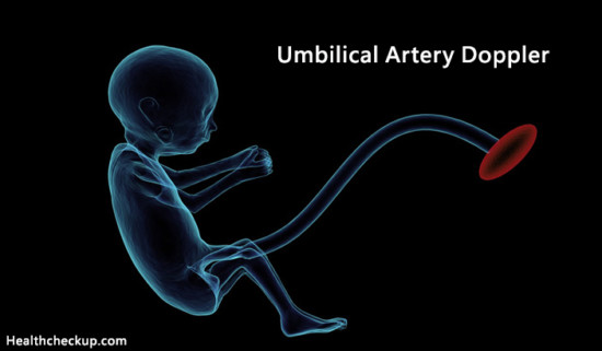 what-is-umbilical-artery-doppler-umbilical-artery-doppler-normal-values