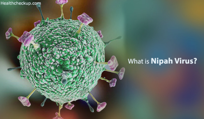 What is Nipah Virus : Symptoms, Prevention, Transmission, Treatment