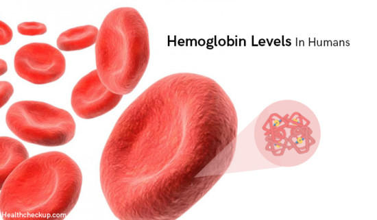 What Hemoglobin Level Is Normal