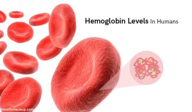 What Hemoglobin Level Is Normal?