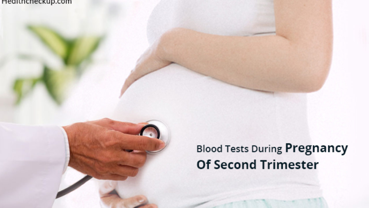 Blood Test During Pregnancy Second Trimester Check Ups Tests And