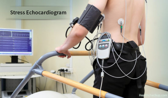 Echocardiogram Stress Test Indications, Prep, Procedure And Results