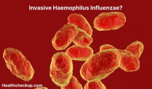 Invasive Haemophilus influenzae - Symptoms, Diagnosis, Treatment