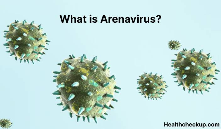 Arenavirus - What is it? Symptoms, Diagnosis, Treatment, Prevention