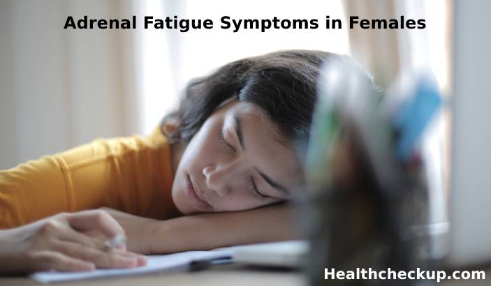 Adrenal Fatigue Symptoms In Females Recognizing The Signs And Taking