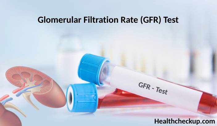 GFR Blood Test: Purpose, Preparation, Procedure, Normal Range, Results