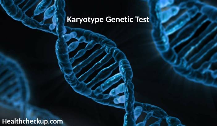 Karyotype Genetic Test: Purpose, Preparation, Procedure, Normal Range, Results