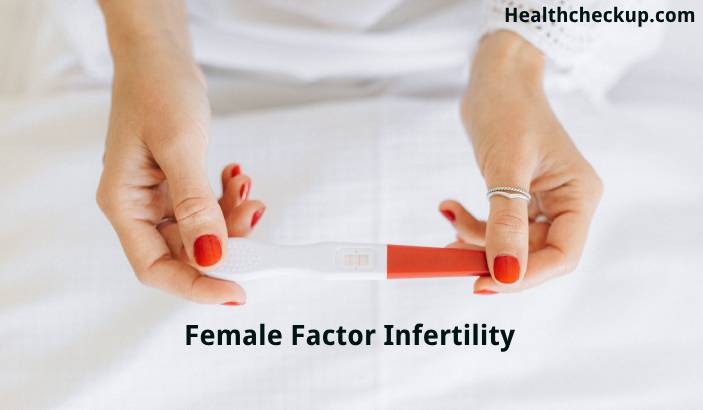 What Is the Most Common Female Factor in Infertility Cases?